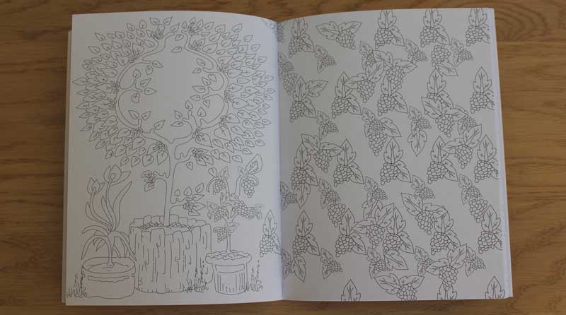 jardins-a-colorier-maud-taron-page-3